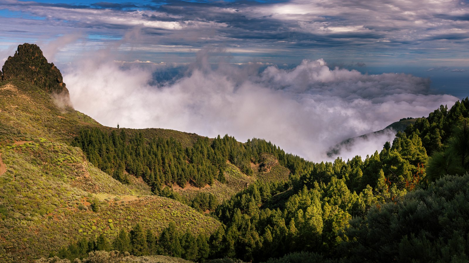 Ein grüner Bergrücken endet an einer dichten Wolkendecke über einem weiten Tal.