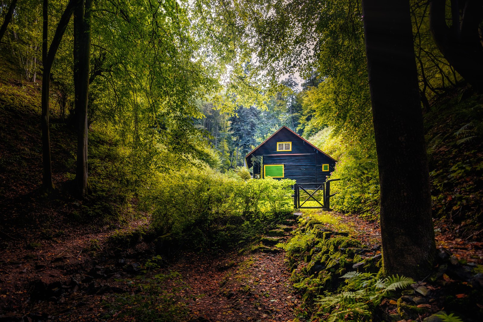 Ein kleines dunkles Holzhaus steht in einer sonnigen Lichtung, umgeben von dichtem Wald.