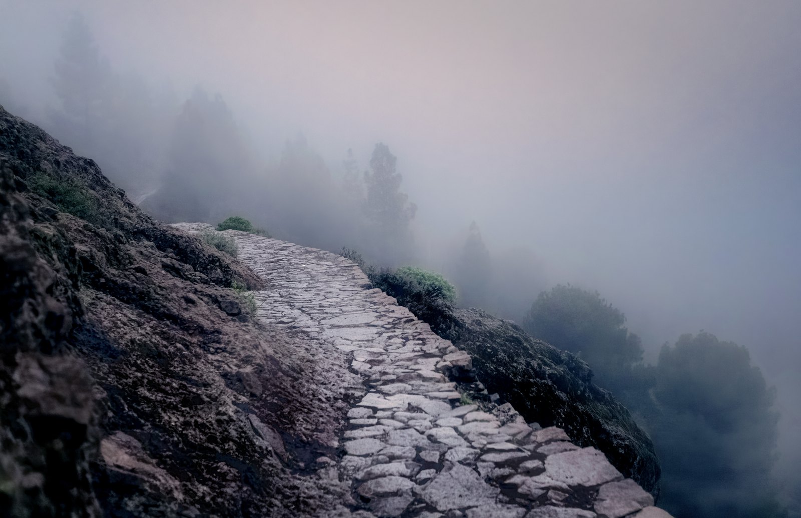 Ein steinerner Pfad verschwindet zwischen Felsen und schemenhaften Bäumen in dichtem Bergnebel.