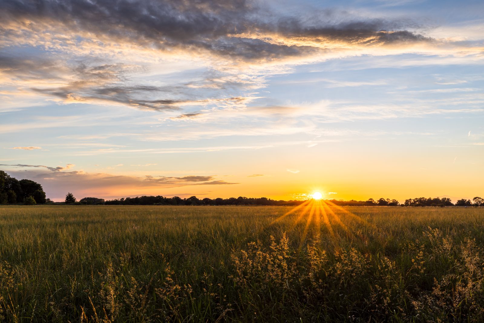 Weite Wiesenlandschaft im Abendlicht, mit tief stehender Sonne am Horizont und bewölktem Himmel.