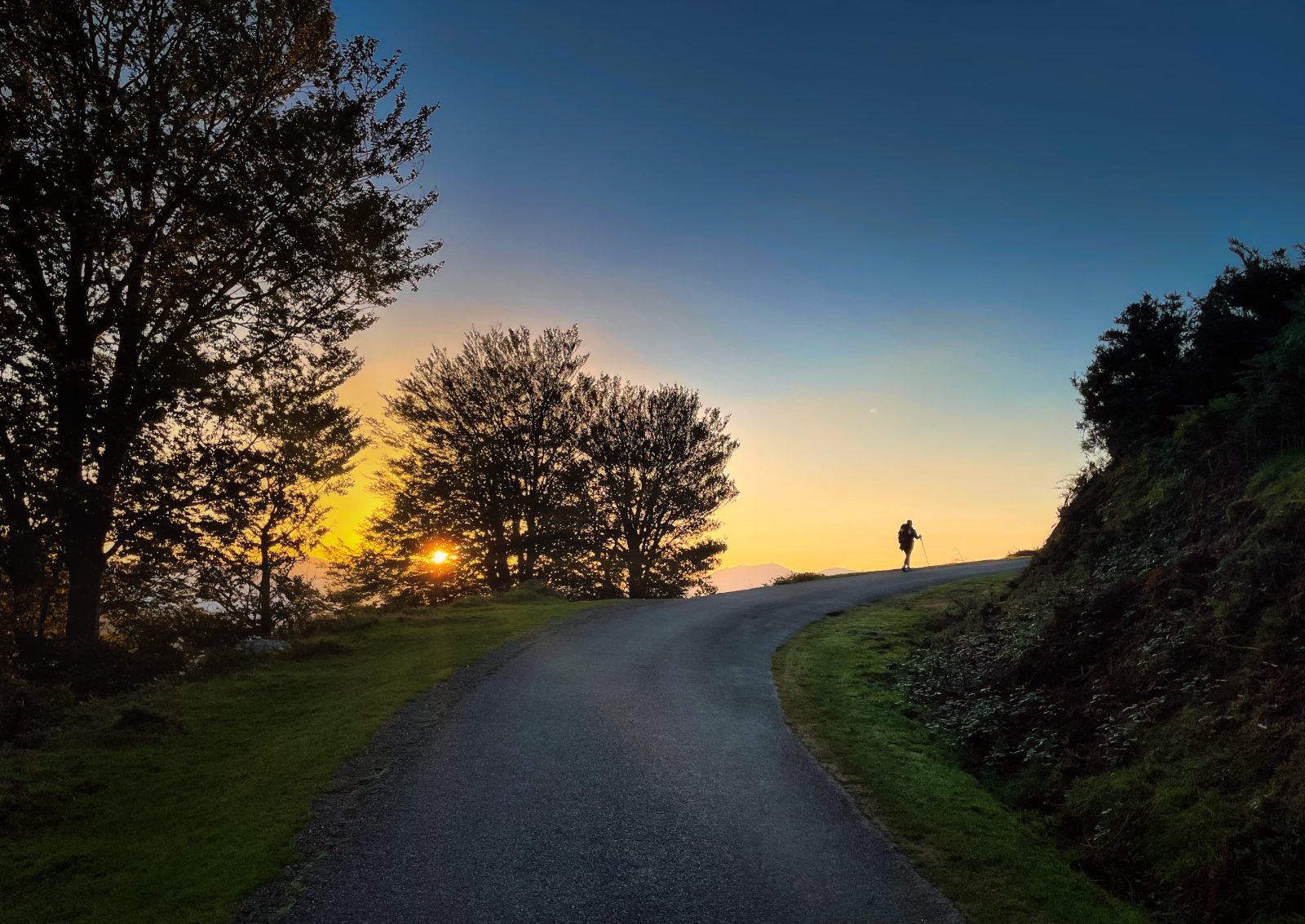 Eine schmale Straße führt bei tief stehender Sonne durch bewaldete Hänge; eine einzelne wandernde Person ist am Horizont zu sehen.
